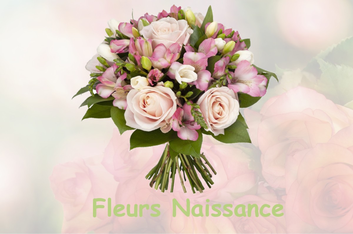 fleurs naissance TRINAY