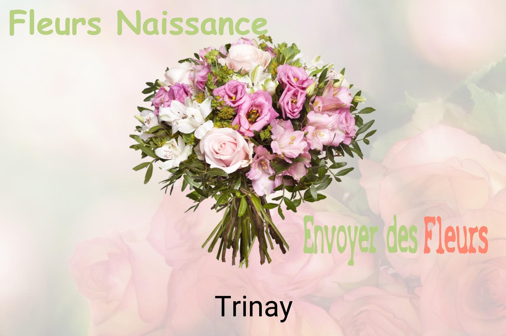 Bouquet de fleurs de naissance livré à Trinay