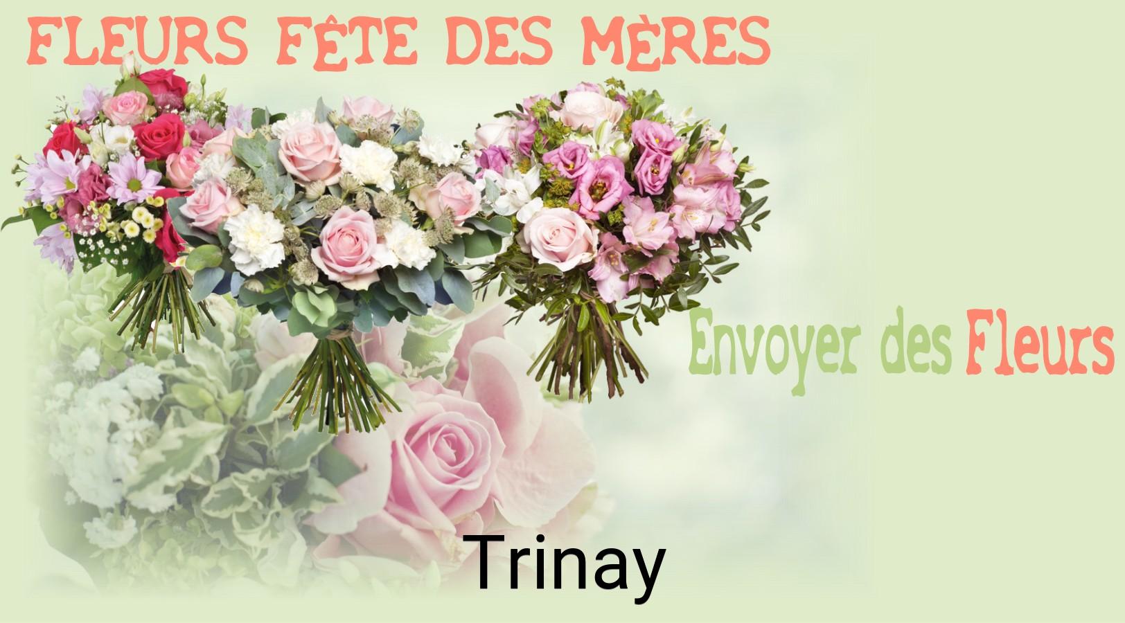 Bouquet de Fête des Mères livré à Trinay